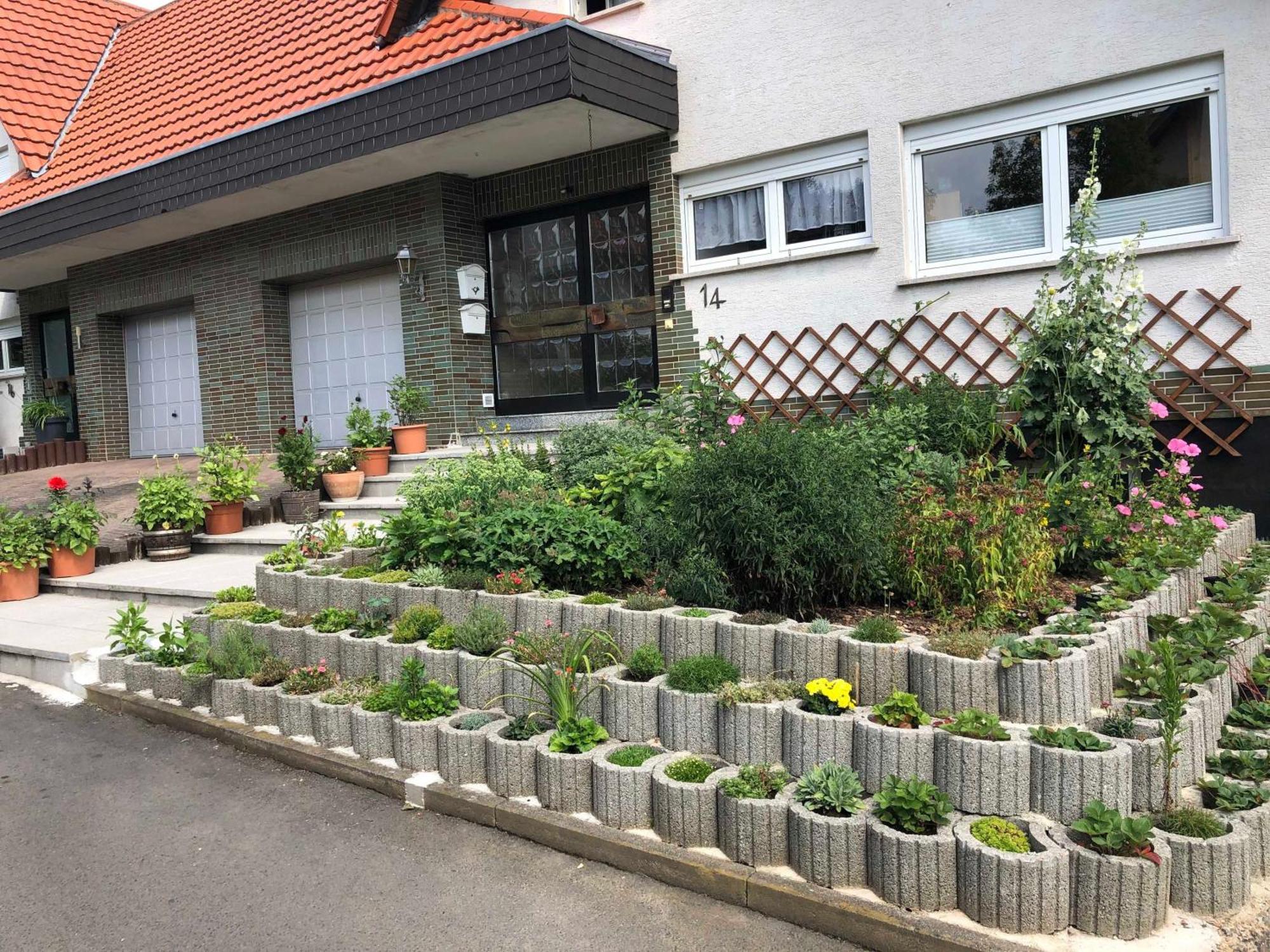 Ferienwohnung Domes-Kreuzer Bad Zwesten Exterior foto